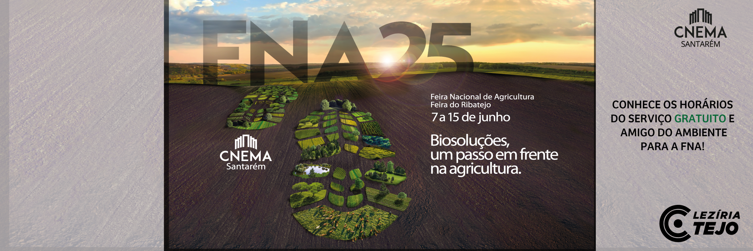 fna25-online